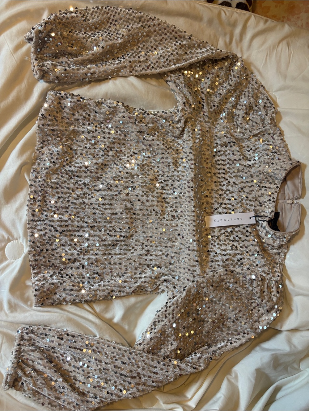 Sanctuary Champagne Sequin Crewneck Long Sleeve Top